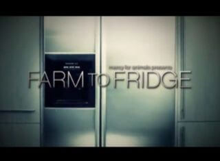 Farm to Fridgeのポスター