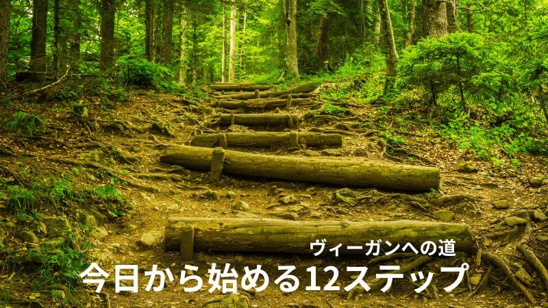 森の中の木の階段