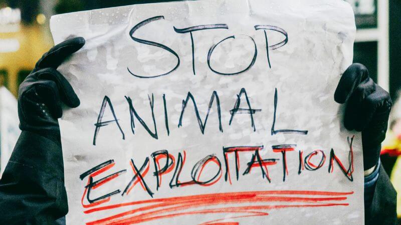 動物搾取をやめろのプラカード