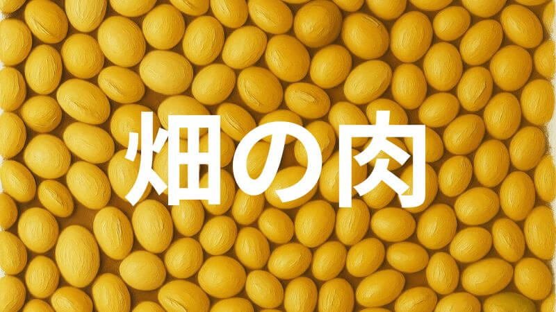 大豆は畑の肉