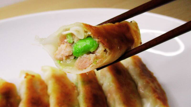 サンホームプロテイン餃子を箸で持つ