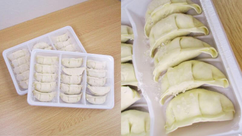 東京ヴィーガン餃子2.0 2パック入り